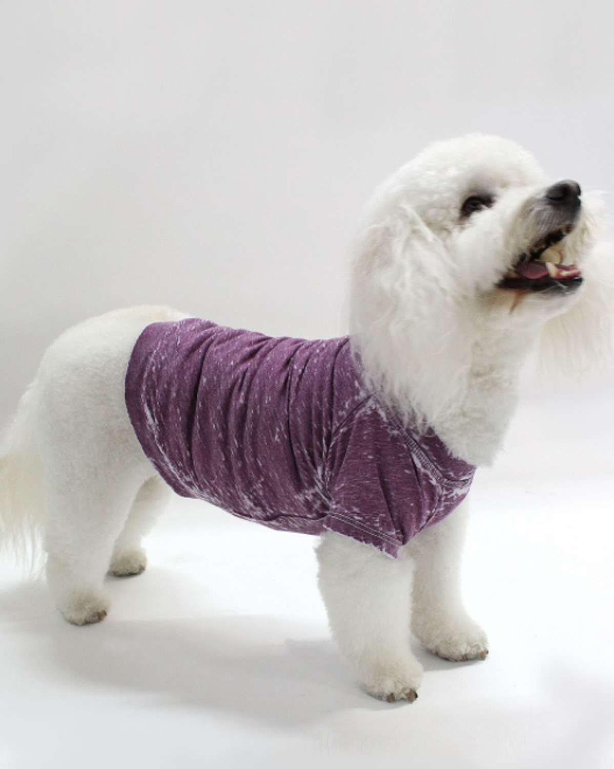 Coin 1804 Doggy Tee Dog Clothes