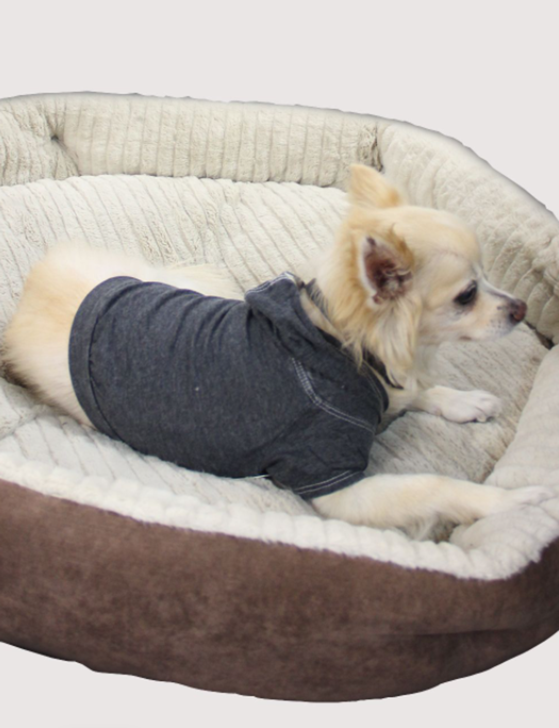 Coin 1804 Doggy Hoodie Dog Clothes