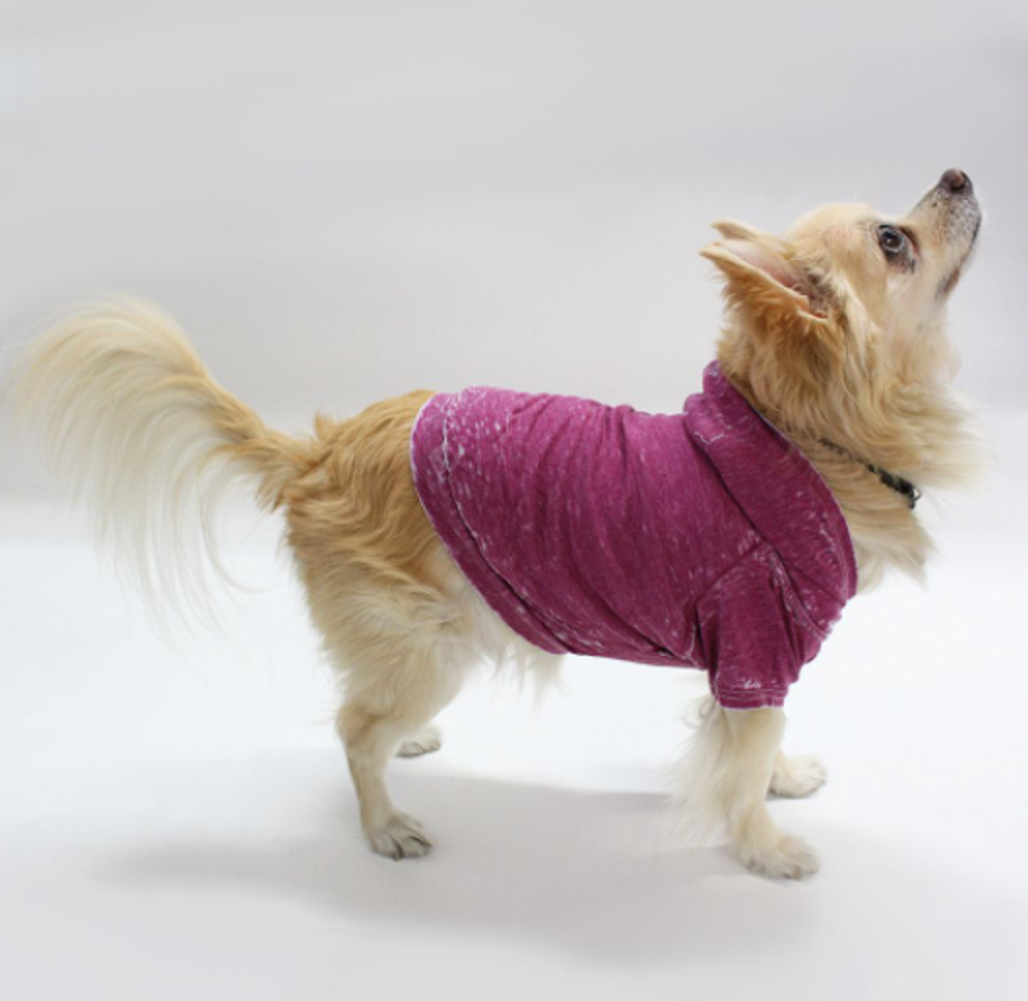 Coin 1804 Doggy Hoodie Dog Clothes