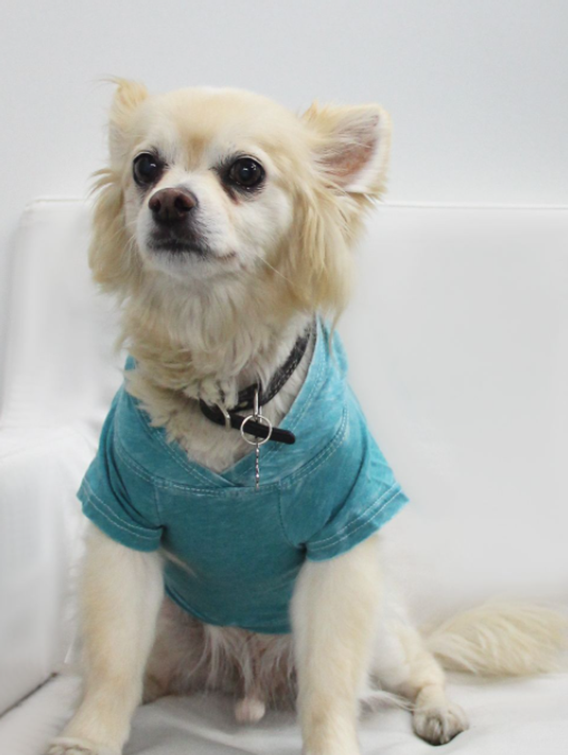 Coin 1804 Doggy Hoodie Dog Clothes