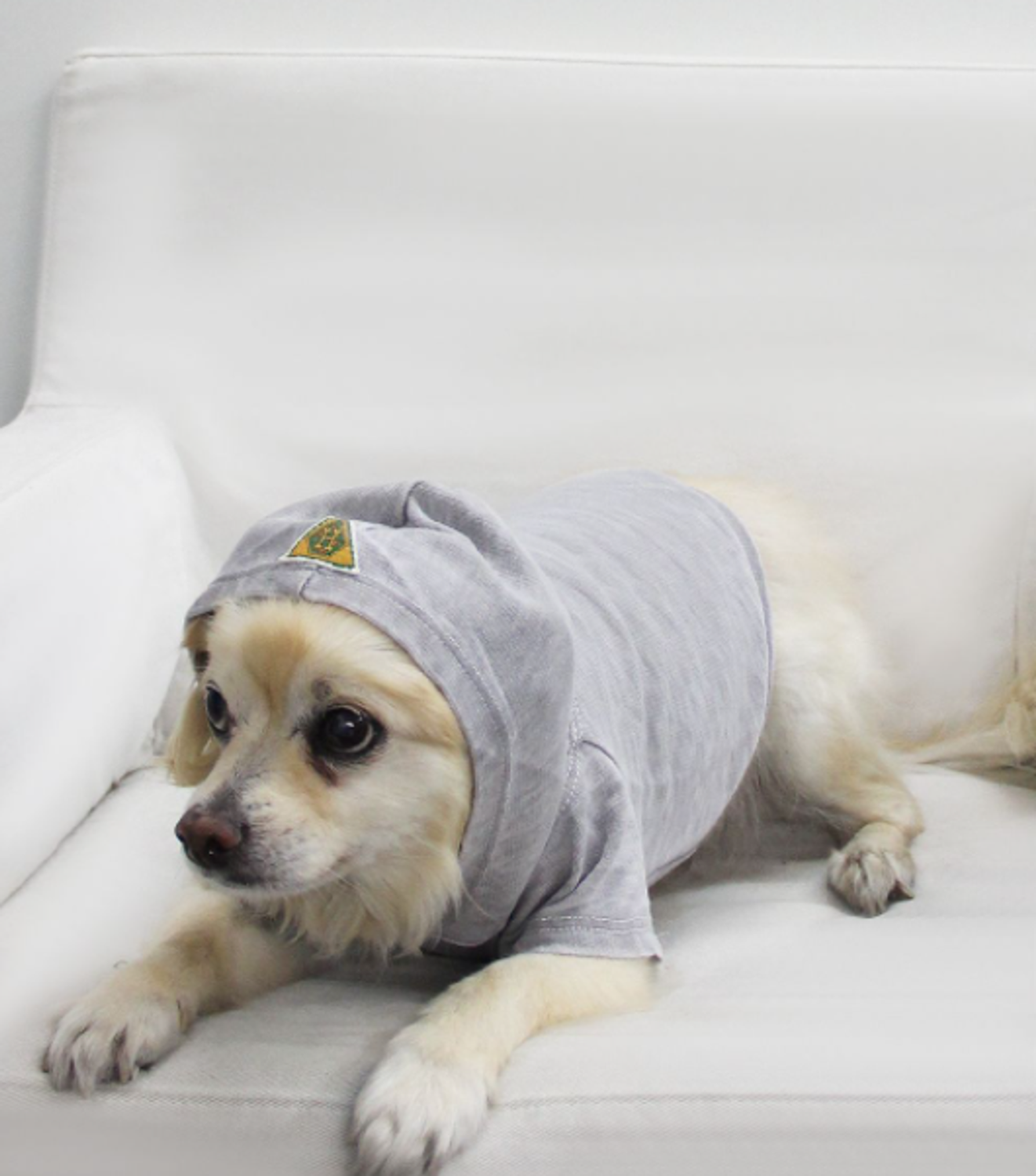 Coin 1804 Doggy Hoodie French Terry Dog Clothes