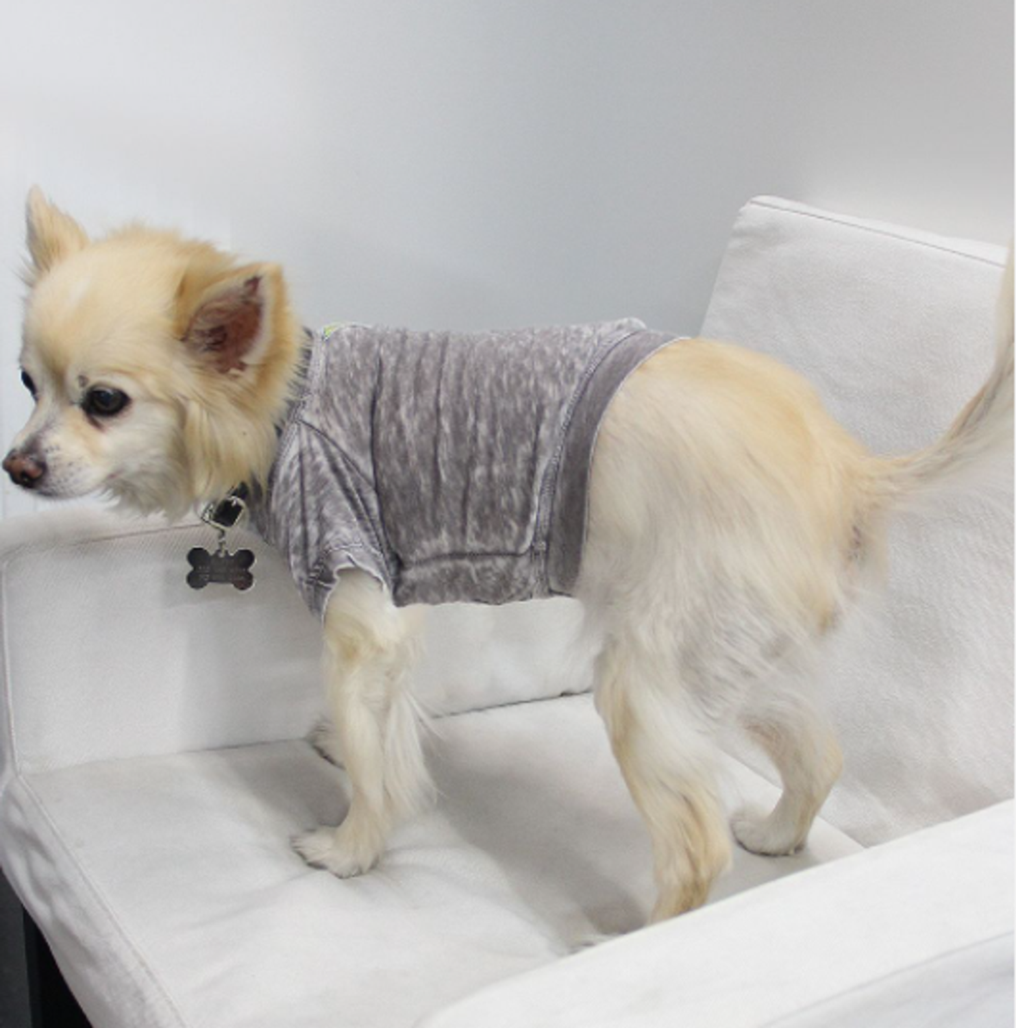 Coin 1804 Doggy Tee Dog Clothes