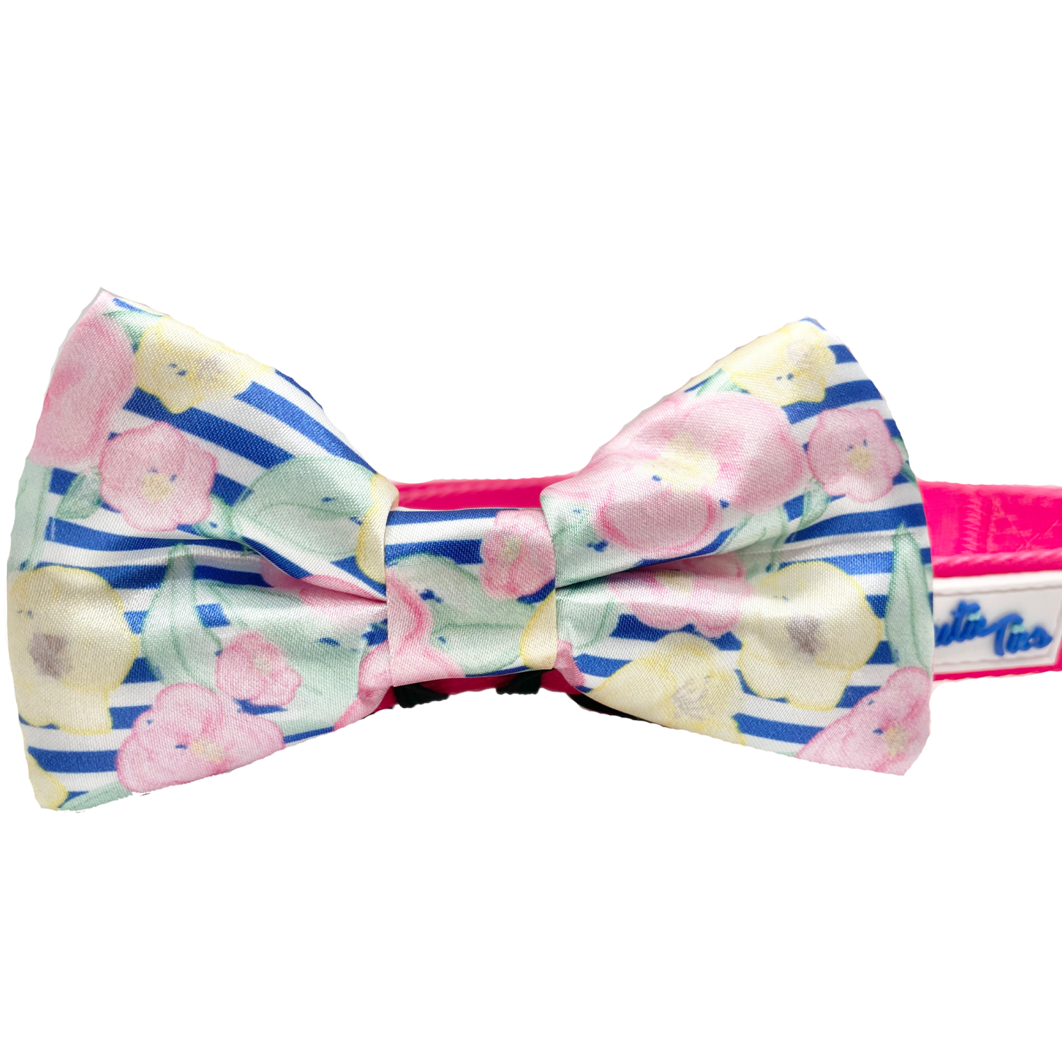 Cutie Ties Cutie Ties Dog Bow Tie Dog Clothes