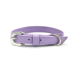 DIPHDA Lavender Cactus Collar Pet Accessories