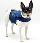 DoggieCoutureNY Dog Harnesses