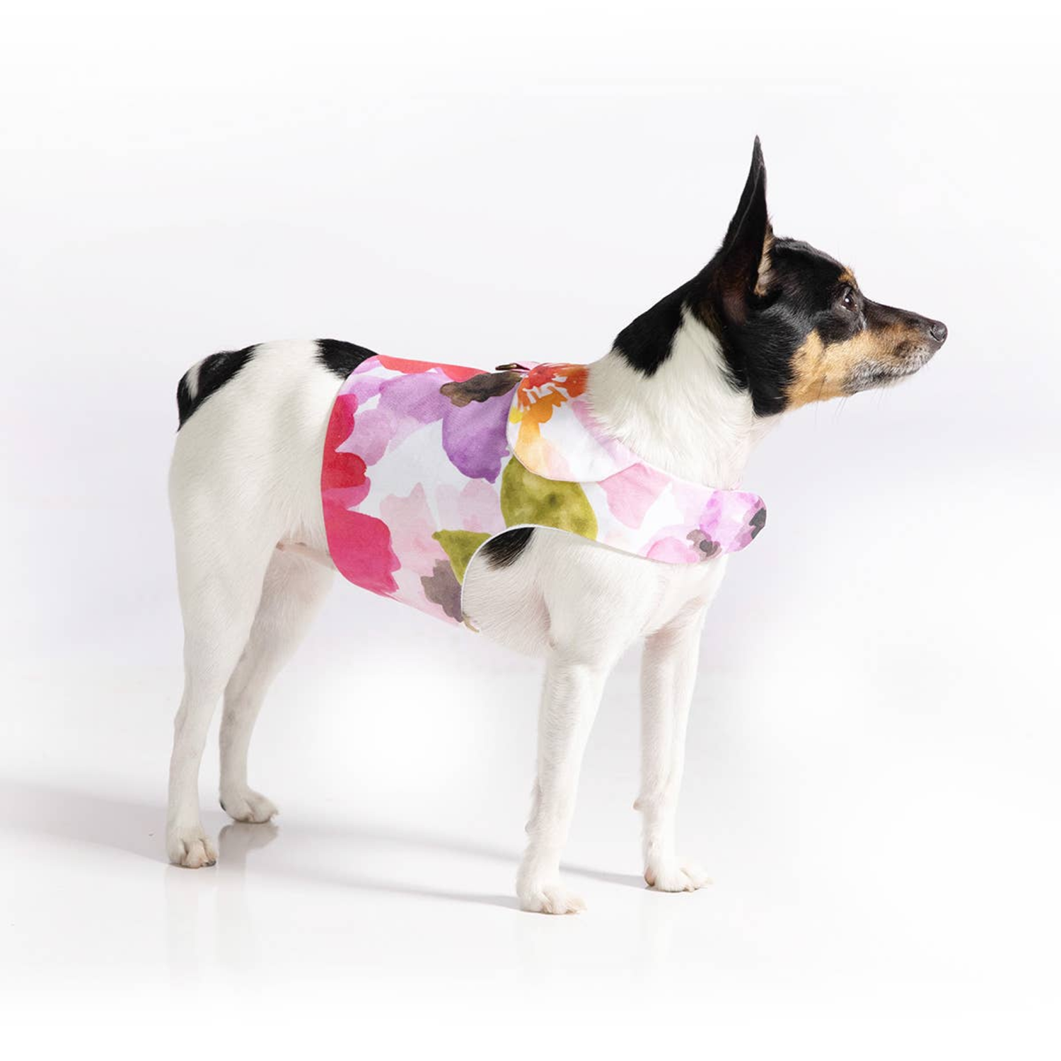 DoggieCoutureNY DCNY "Fine Art Frolic" Pink Vest-Style Harness Dog Harnesses