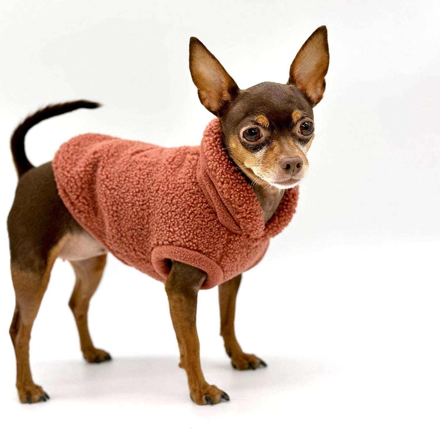 DoggieCoutureNY Cozy Sherpa Fleece Pullover Dog Clothes