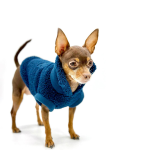 DoggieCoutureNY Dog Clothes