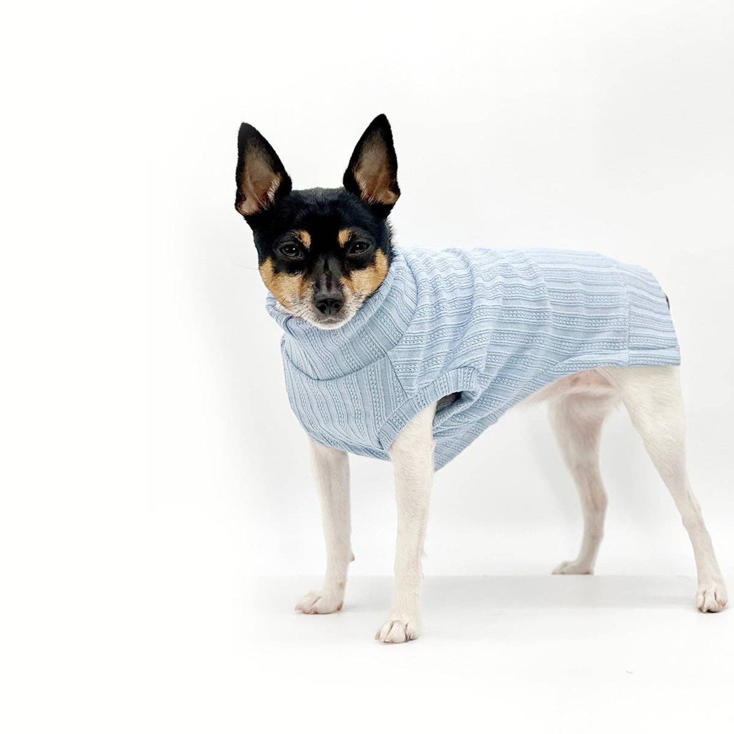 DoggieCoutureNY DCNY Mock Neck Sleeveless Sweater Tank Dog Clothes