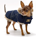 DoggieCoutureNY Dog Clothes