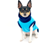 DoggieCoutureNY Dog Clothes