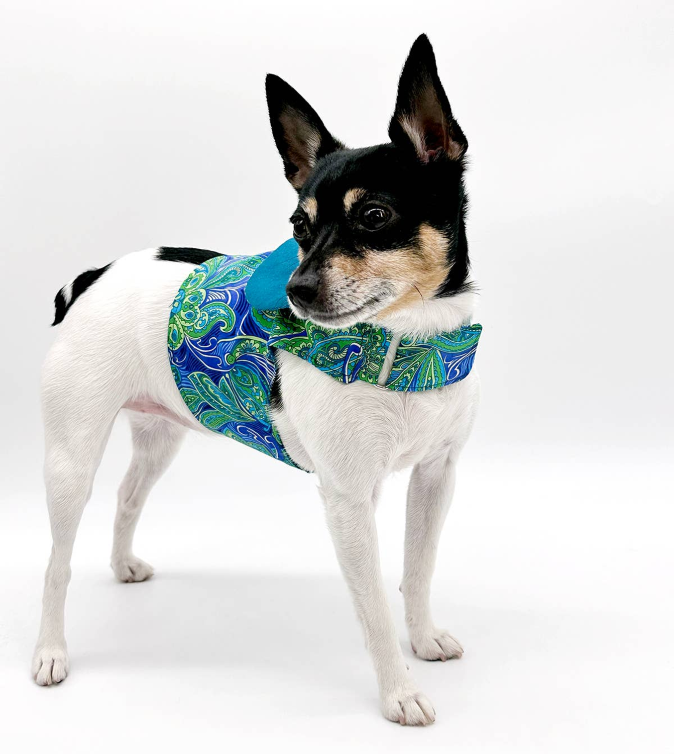 DoggieCoutureNY DCNY "Pretty in Paisley" Vest-Style Harness Dog Clothes