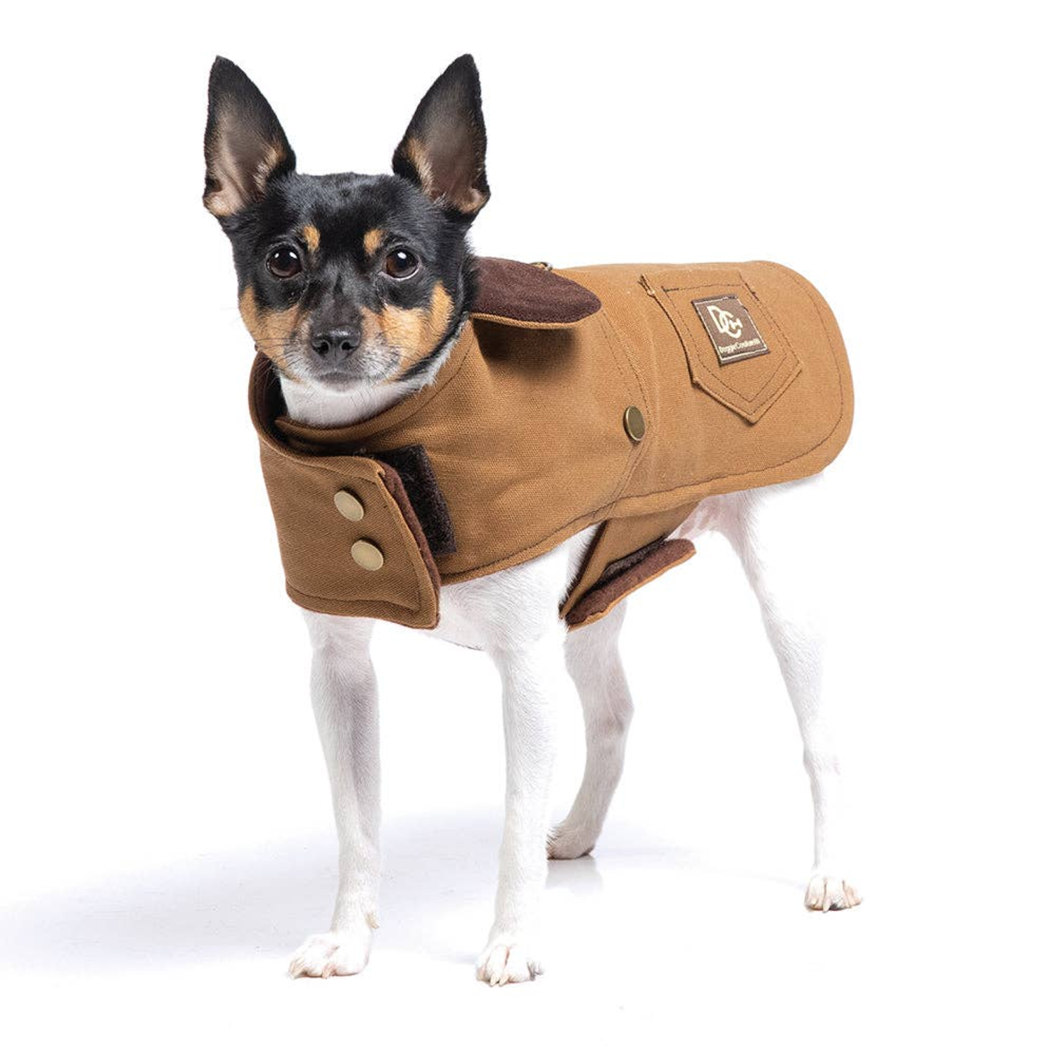 DoggieCoutureNY DCNY Canyon Working Coat Dog Clothes