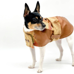 DoggieCoutureNY Dog Clothes