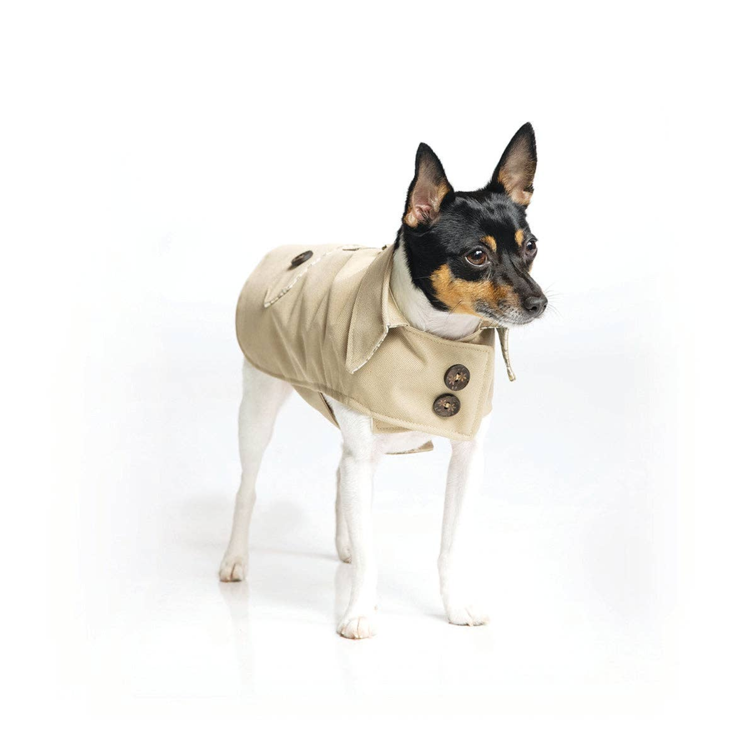 DoggieCoutureNY DoggieCoutureNY Classic Trench Coat Dog Clothes