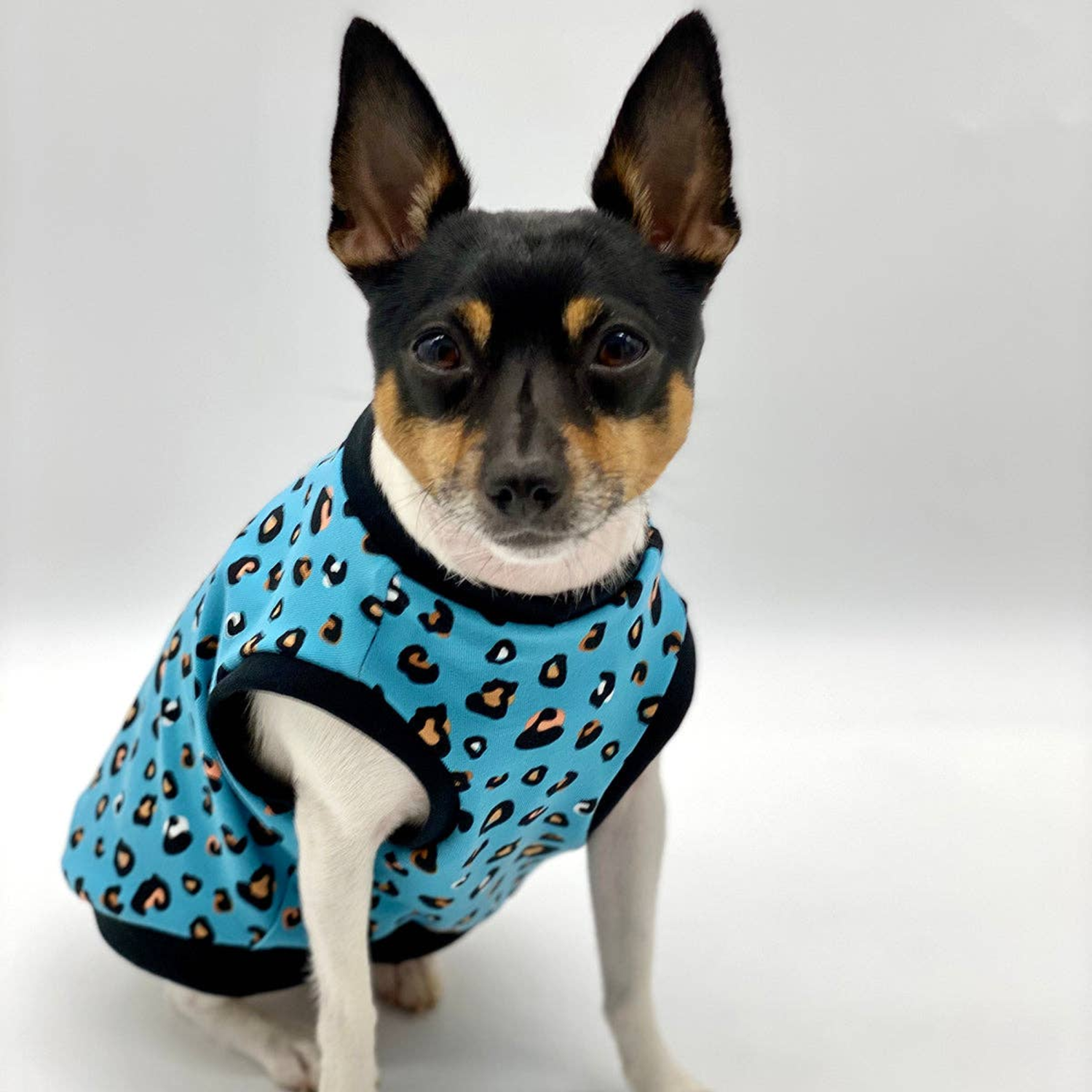 DoggieCoutureNY DCNY Teal Leopard Print Tank - Limited Edition Dog Clothes