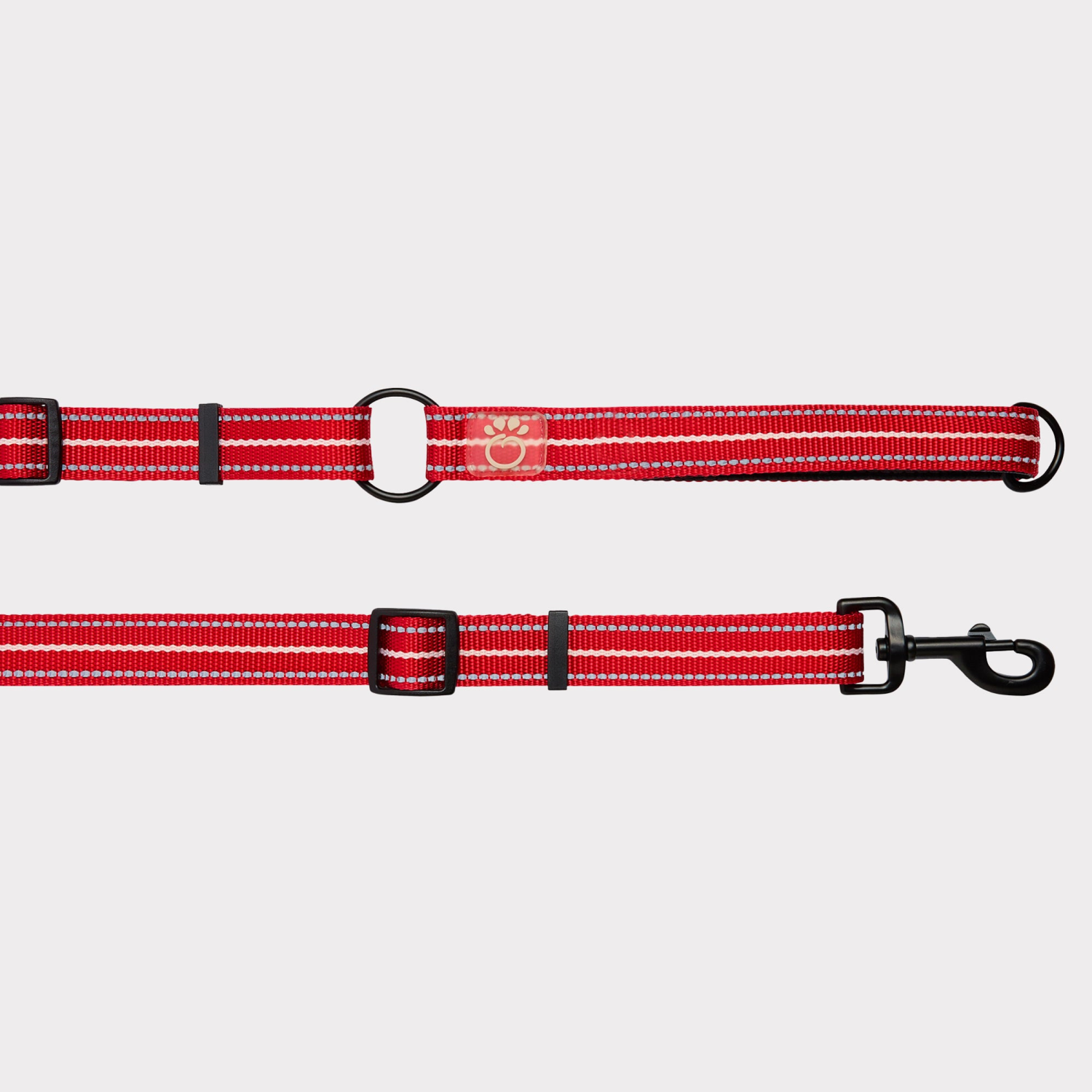Farm Supply GF Pet Reflective Leash - EEZY-6 Dog Leashes
