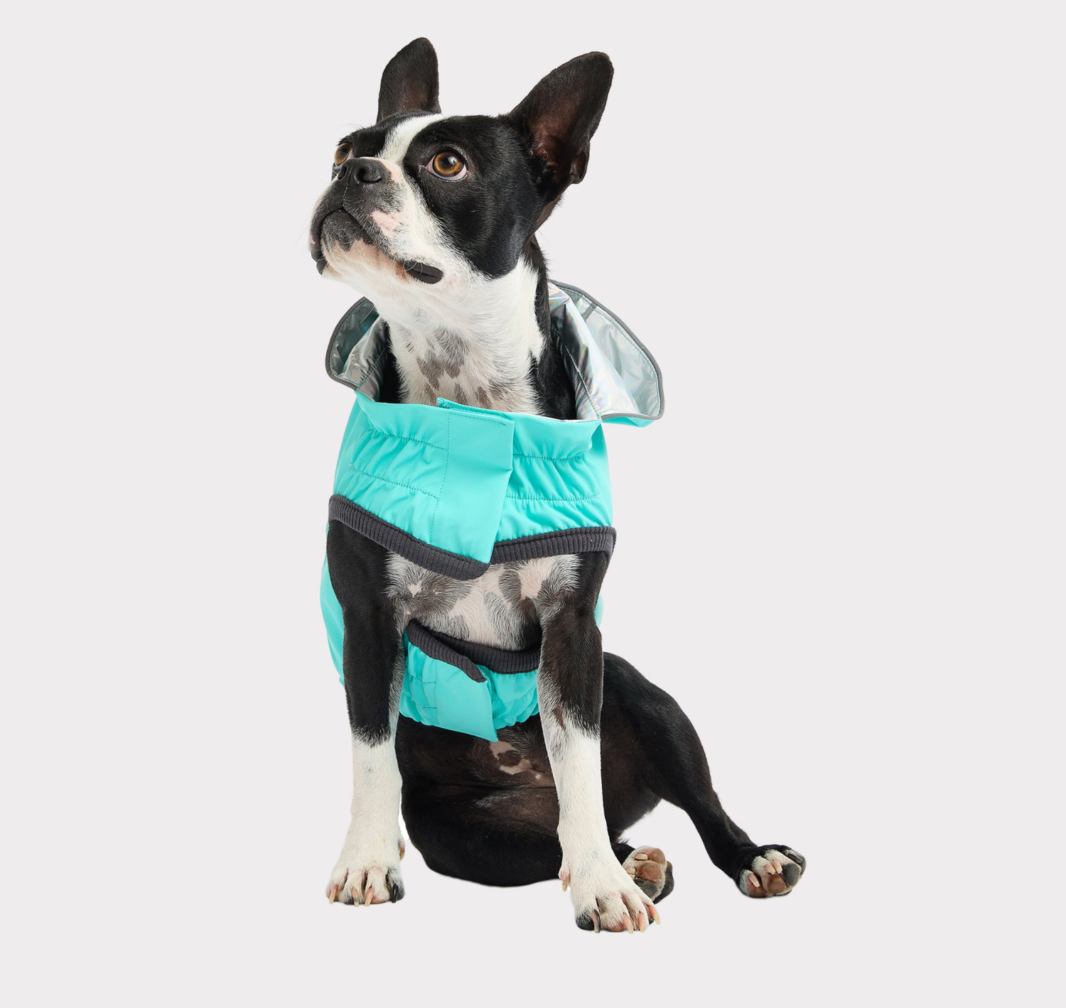 Farm Supply GF Pet Reversible Raincoat Apparel