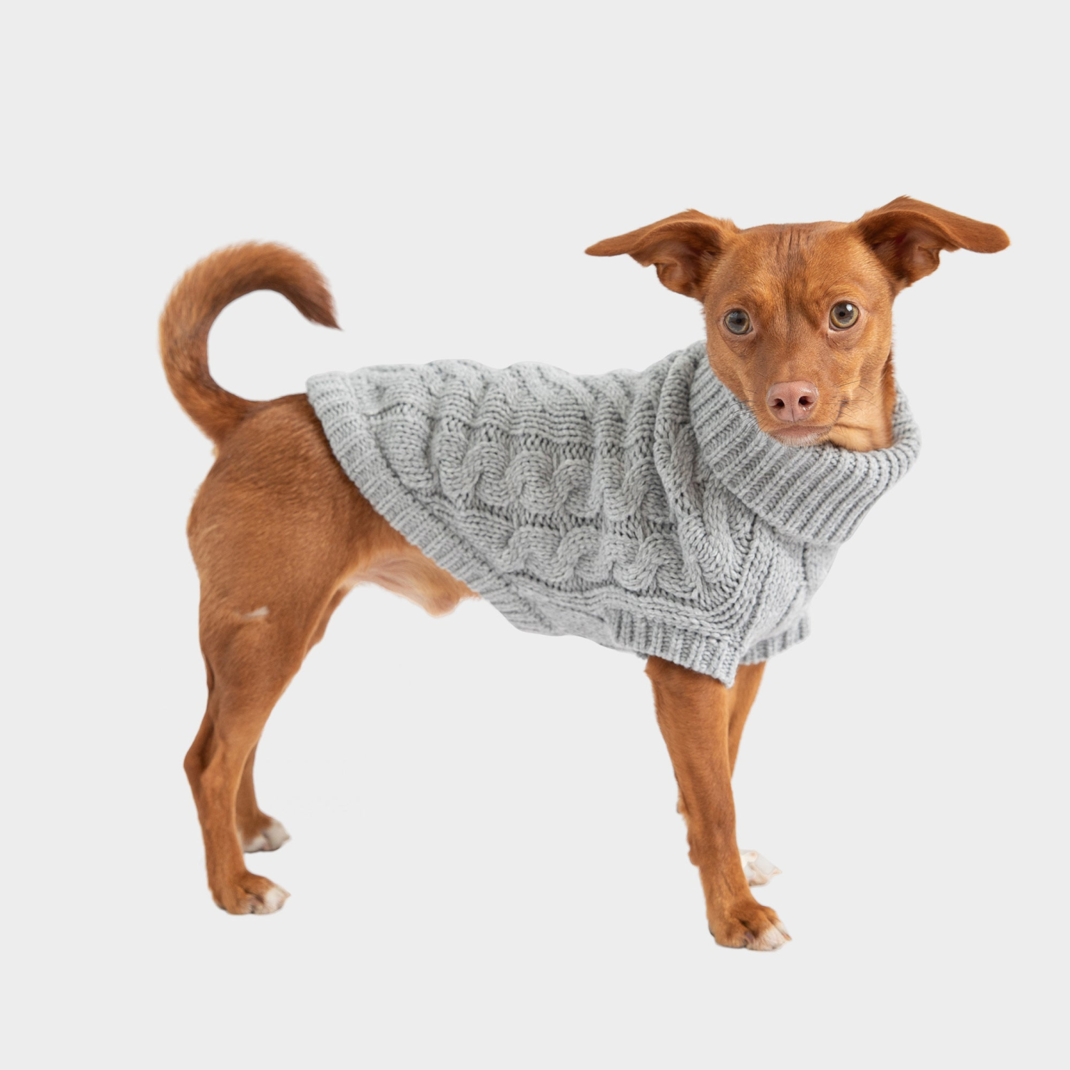 Farm Supply GF Pet Chalet Dog Sweater Apparel