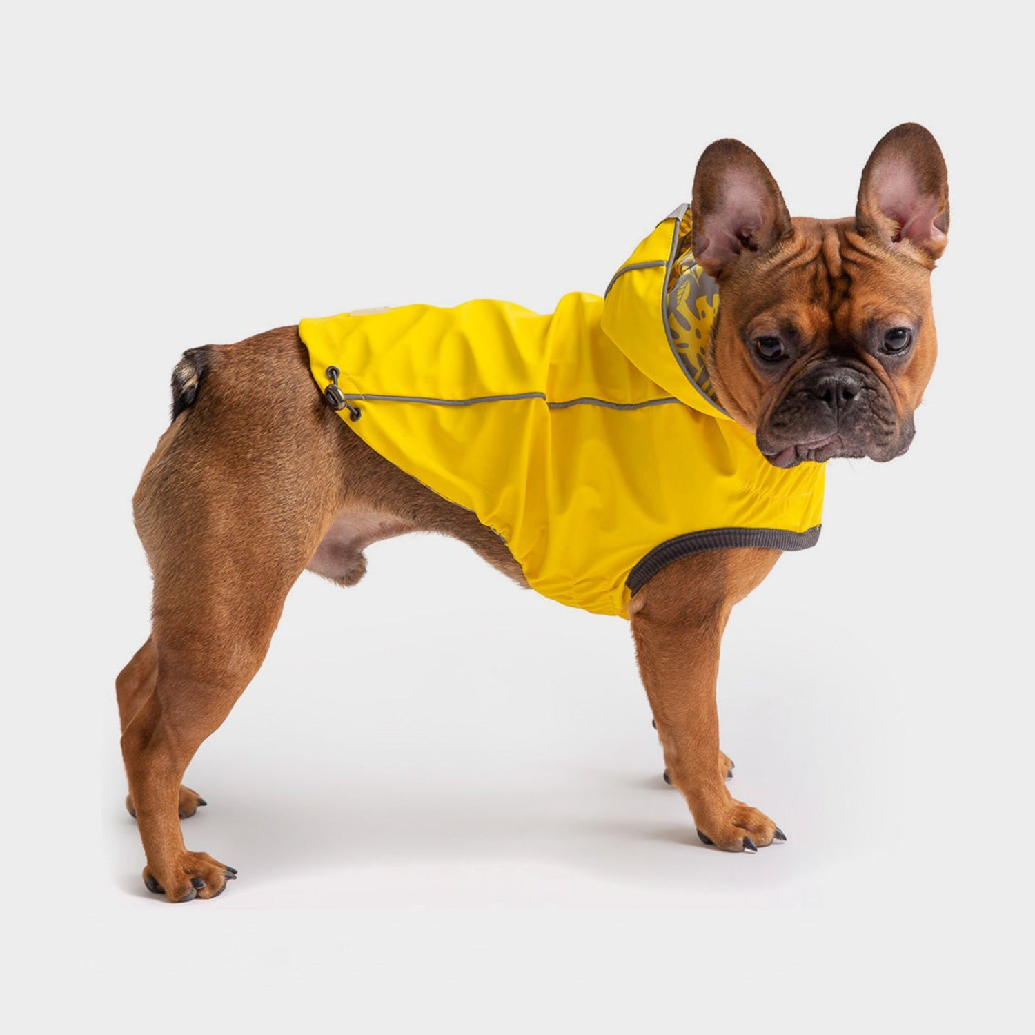 Farm Supply GF Pet Reversible ElastoFit Raincoat Apparel