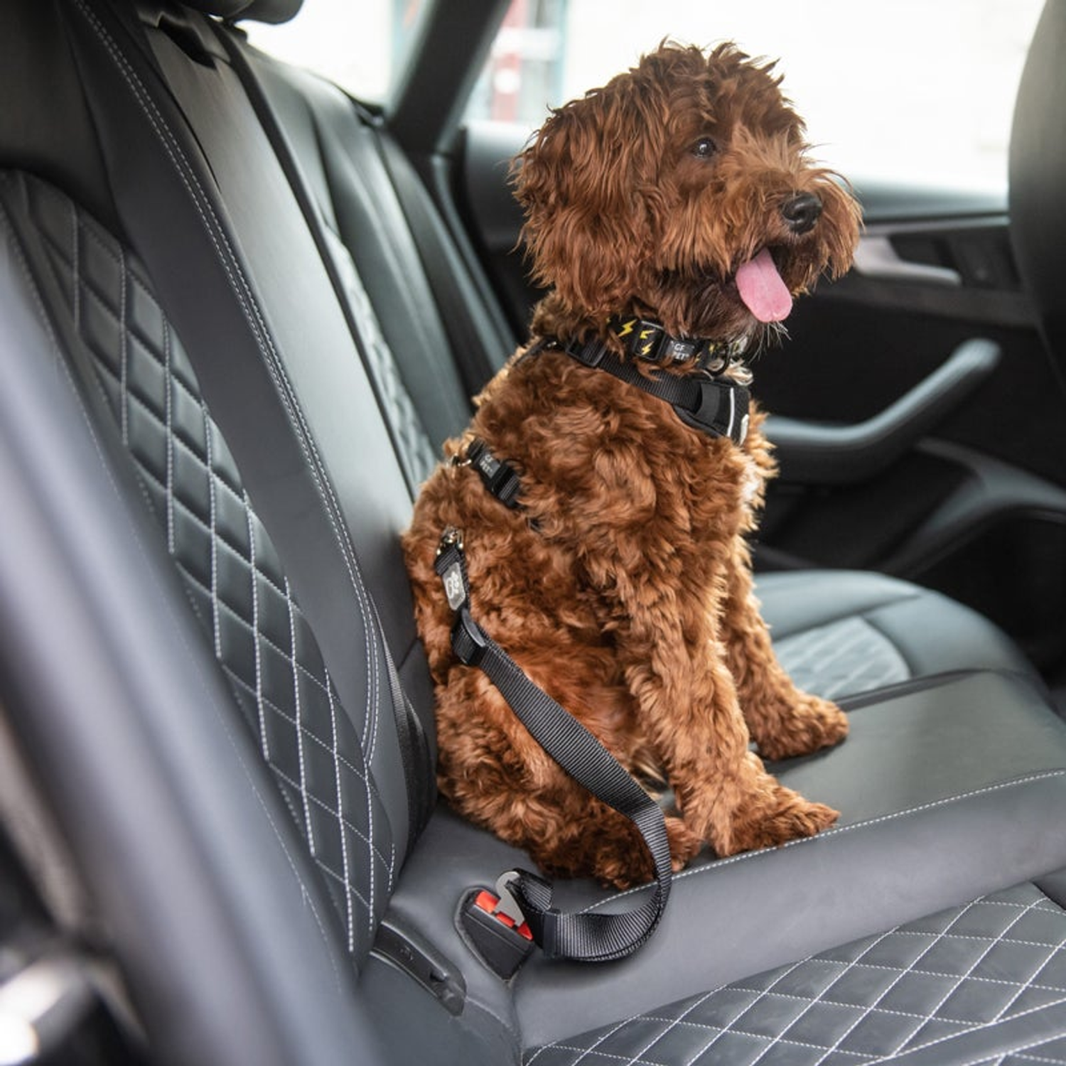 Farm Supply GF Pet  Pet Seat Belt Tether  Black Seat Belts