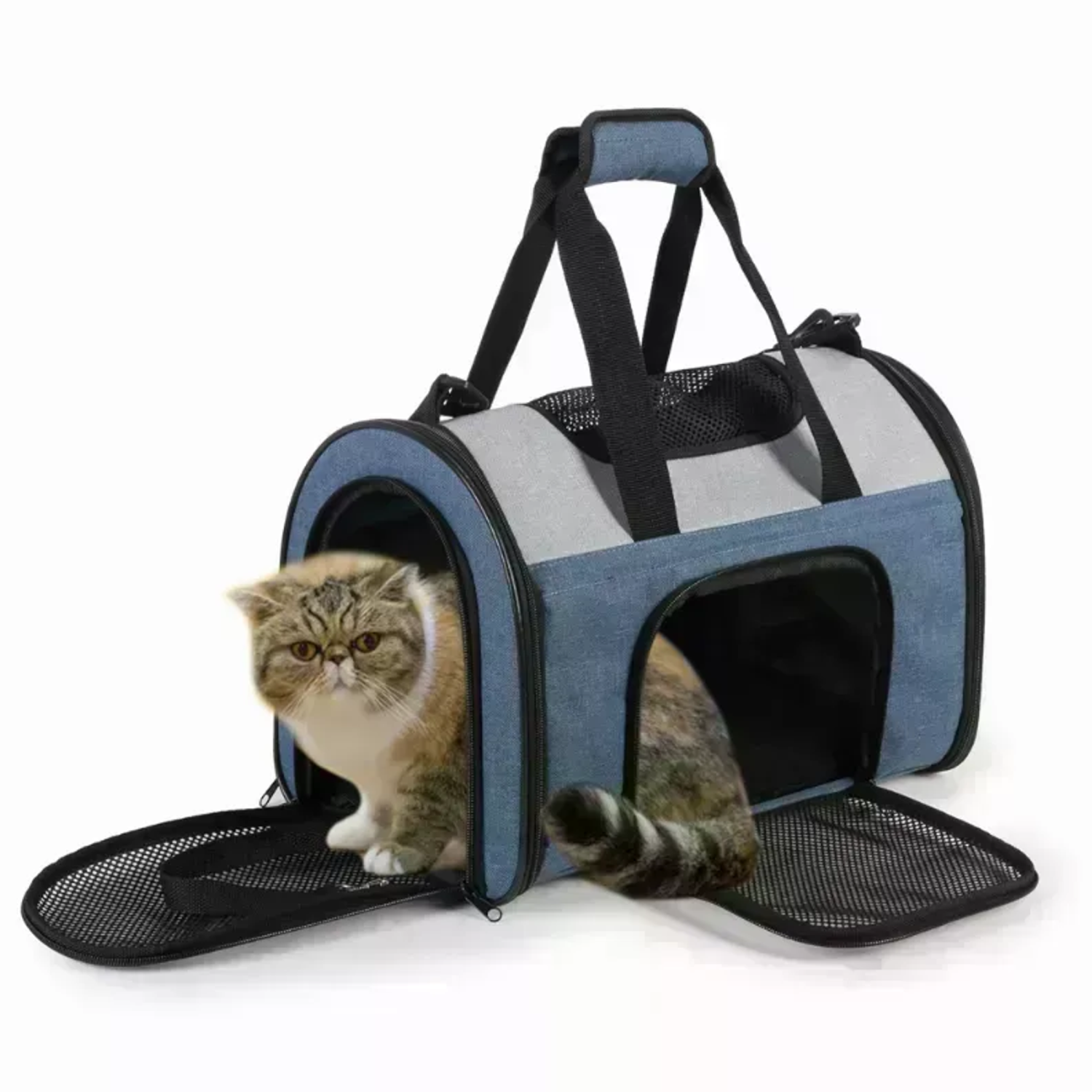JESPET Inc JESPET Soft-Sided Kennel Pet Carrier for Small Dogs