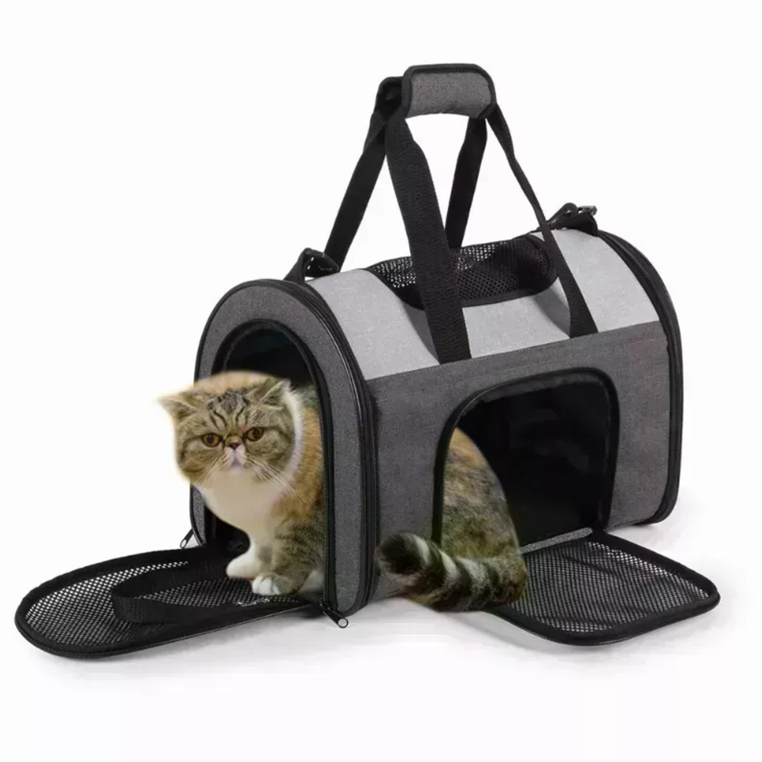 JESPET Inc JESPET Soft-Sided Kennel Pet Carrier for Small Dogs