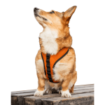 K9 Sport Sack Dog Harnesses