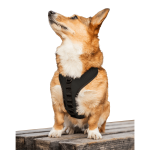 K9 Sport Sack Dog Harnesses