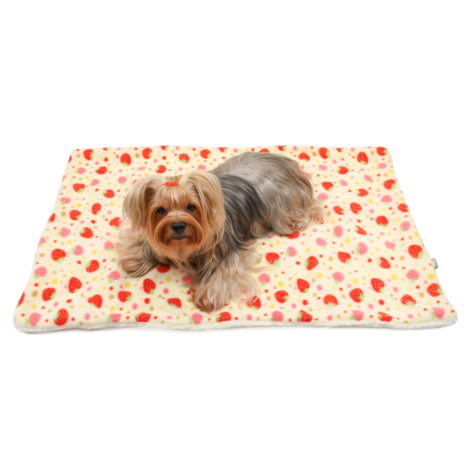 Klippo Pet Inc Yummy Strawberry Fleece/Plush Blanket Dog Clothes