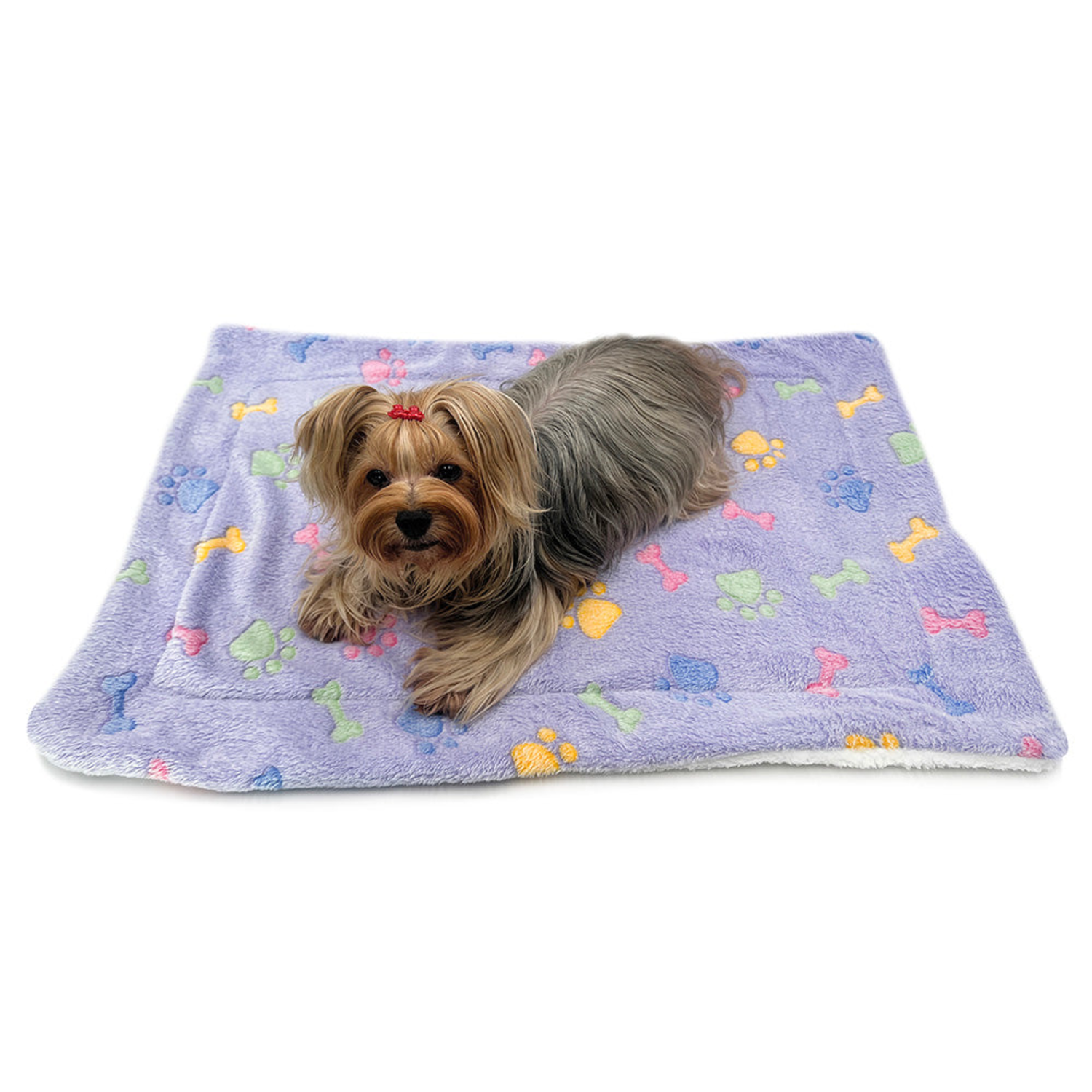 Klippo Pet Inc Ultra Plush Colorful Bones/Paws Blanket Dog Clothes