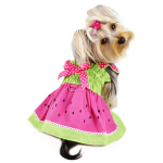Klippo Pet Inc Dresses