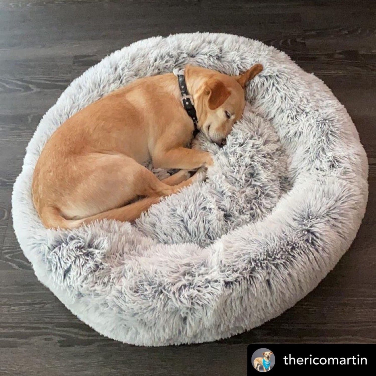 Mr. Peanut's Premium Products LLC Mr. Peanut's OrthoPlush Pet Bed Dog Beds