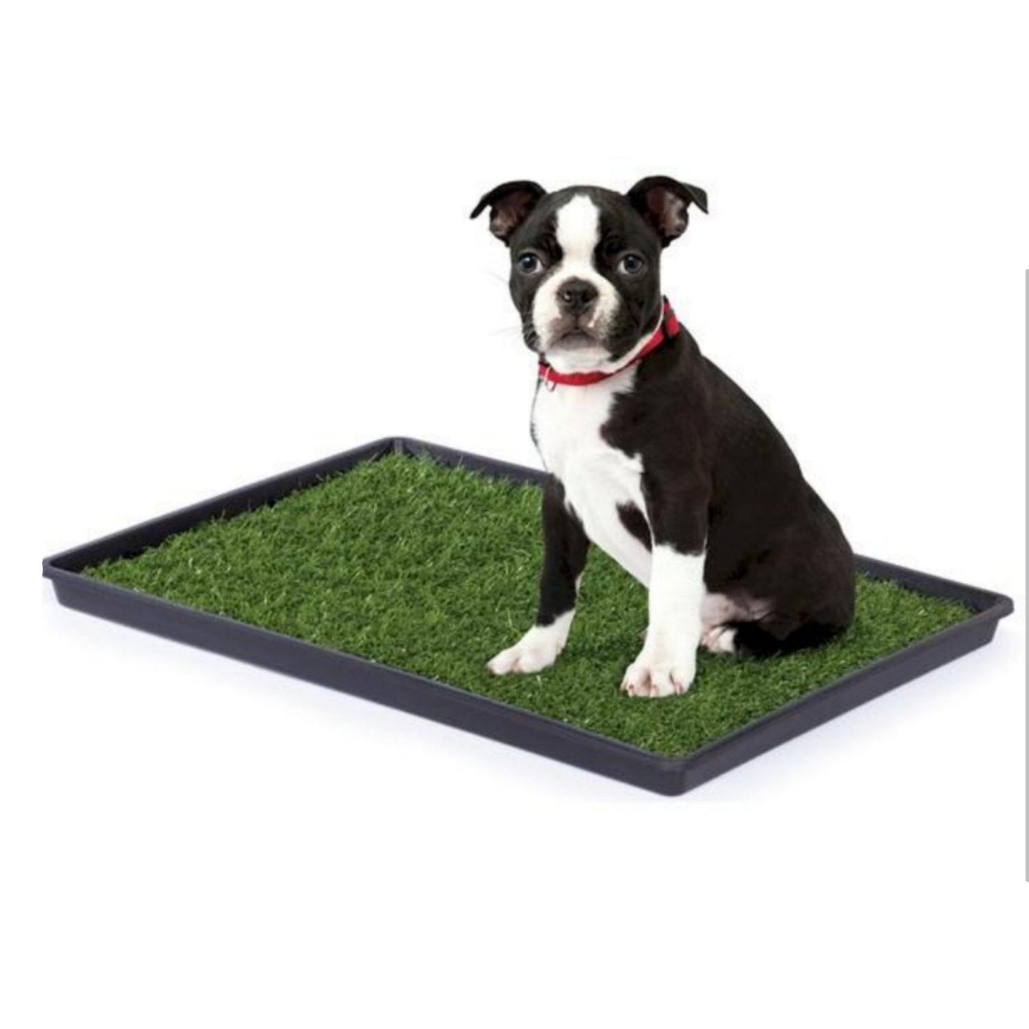 Mr. Peanut's Premium Products LLC Mr. Peanut's Potty Place - Artificial Grass Puppy Pad for Dogs and Small Pets Feeding Mats