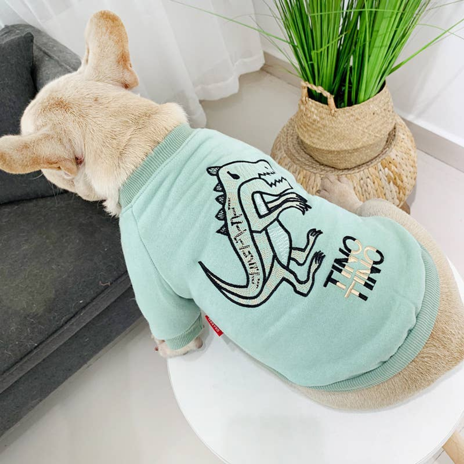 Pawsome Pets CA Dinosaur Love - Matching Pet and Owner Clothing Set Apparel