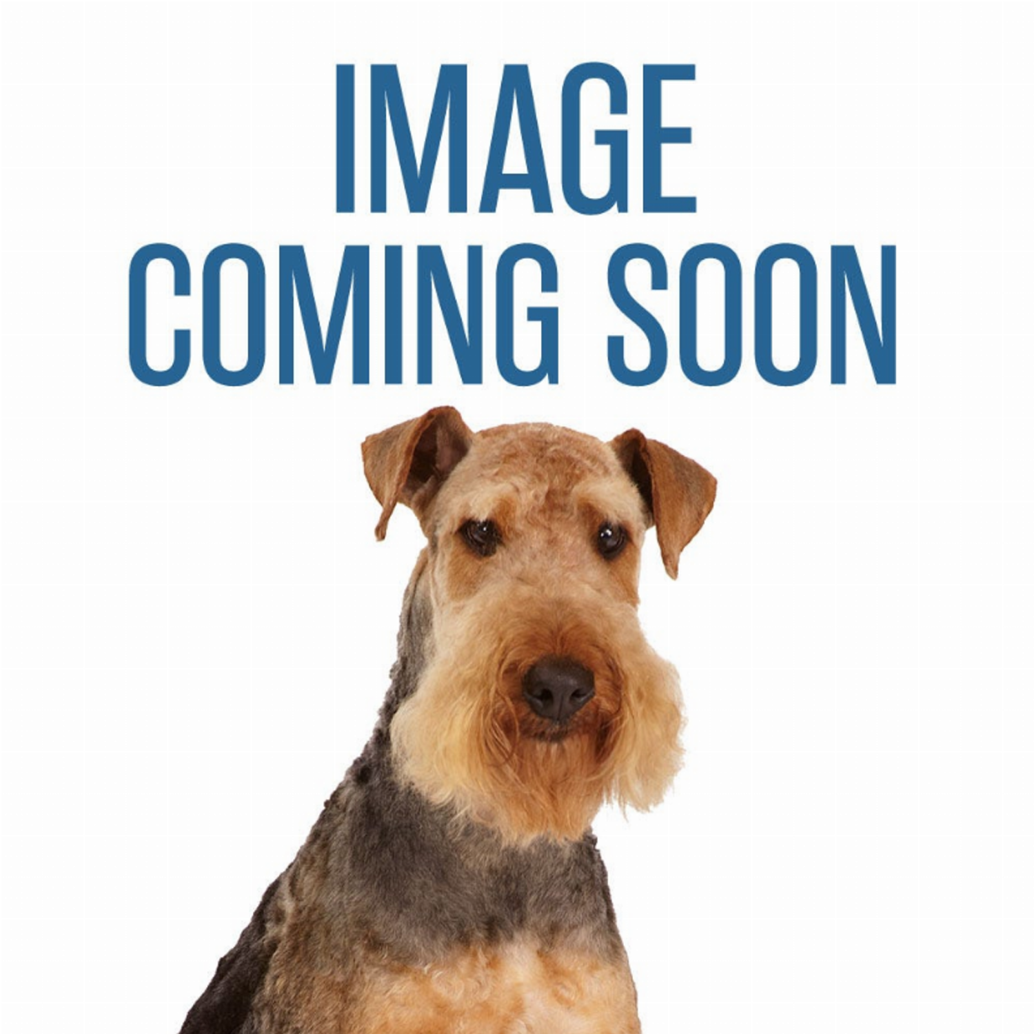 Pet Edge Scruffys Vibrating Mouse Toy Toys