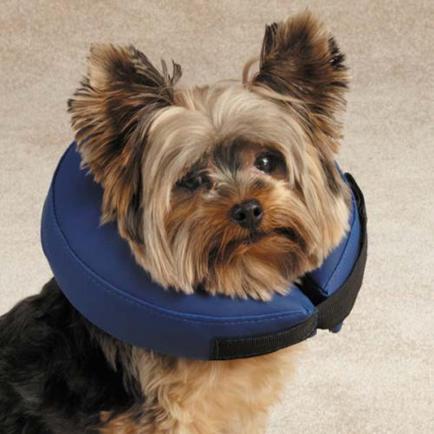 Pet Edge Total Pet Health Inflatable Collar Dog Collars