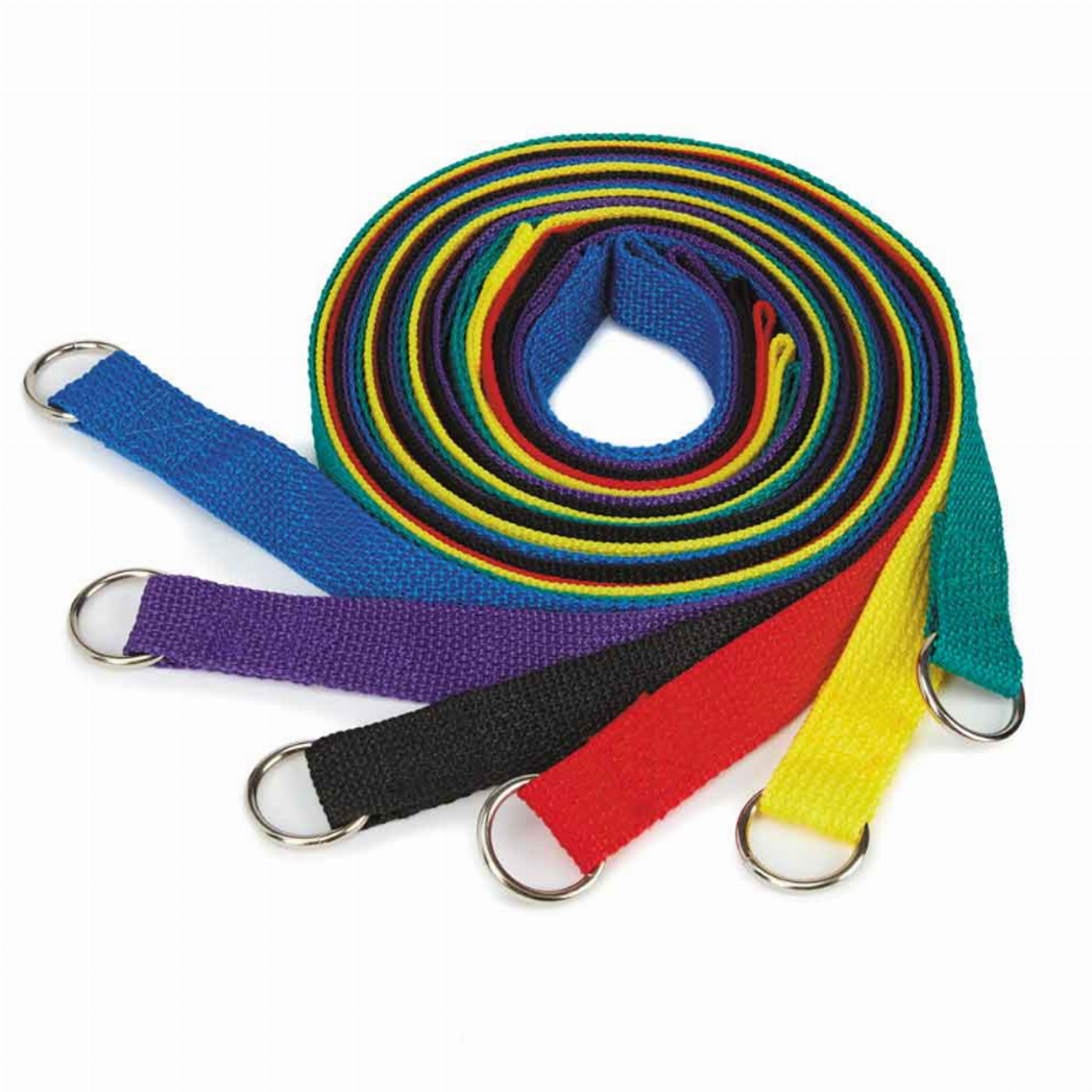 Pet Edge GG Kennel Lead 4Ft 6Pk Asst Leads