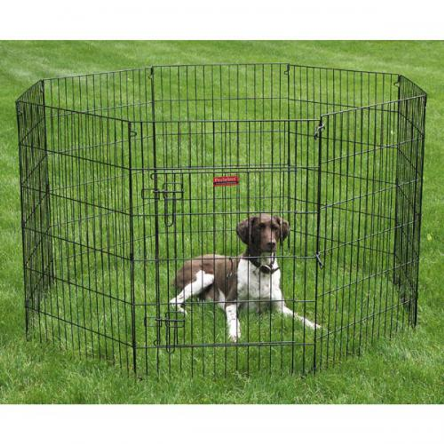 Pet Edge ProSelect Everlast XPen with Door Pet Playpens