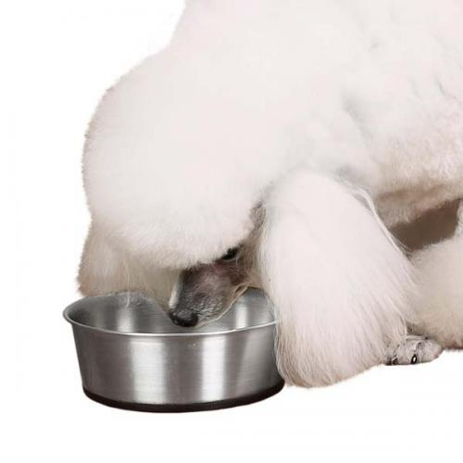 Pet Edge ProSelect SS Bowl with Rubber Base 88oz Food & Water Bowls