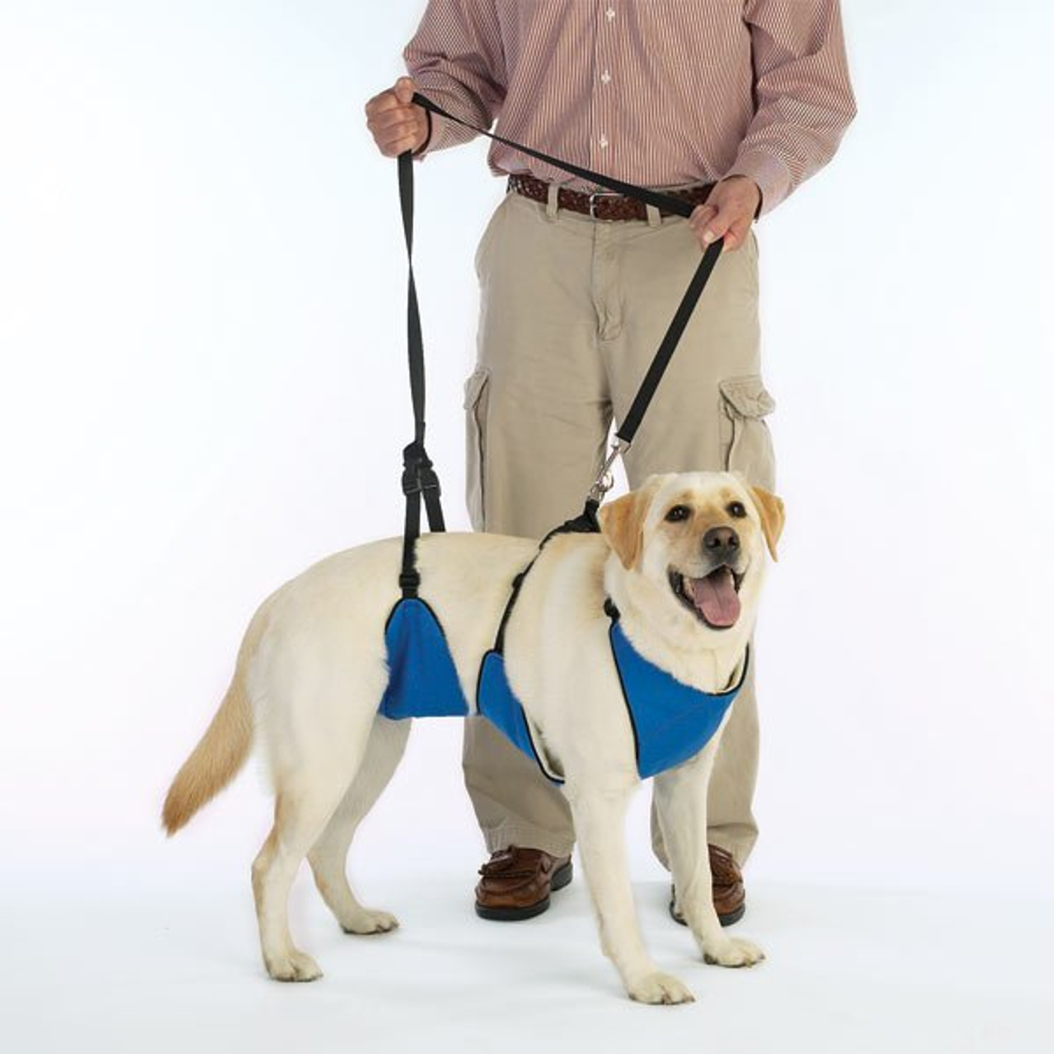 Pet Edge TPH Lift & Lead 4 in 1 Wellness