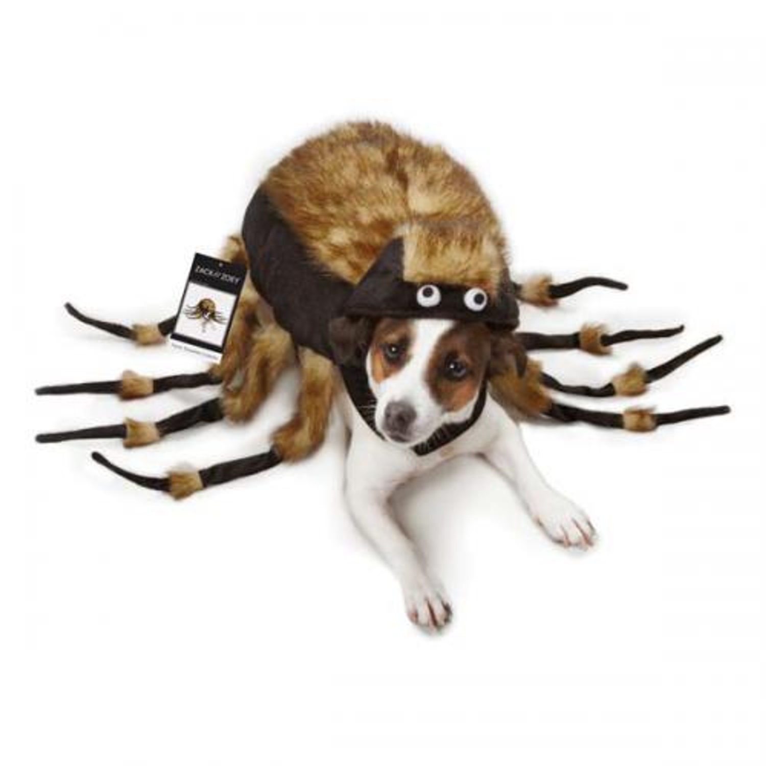 Pet Edge ZZ Fuzzy Tarantula Costume Dog Clothes