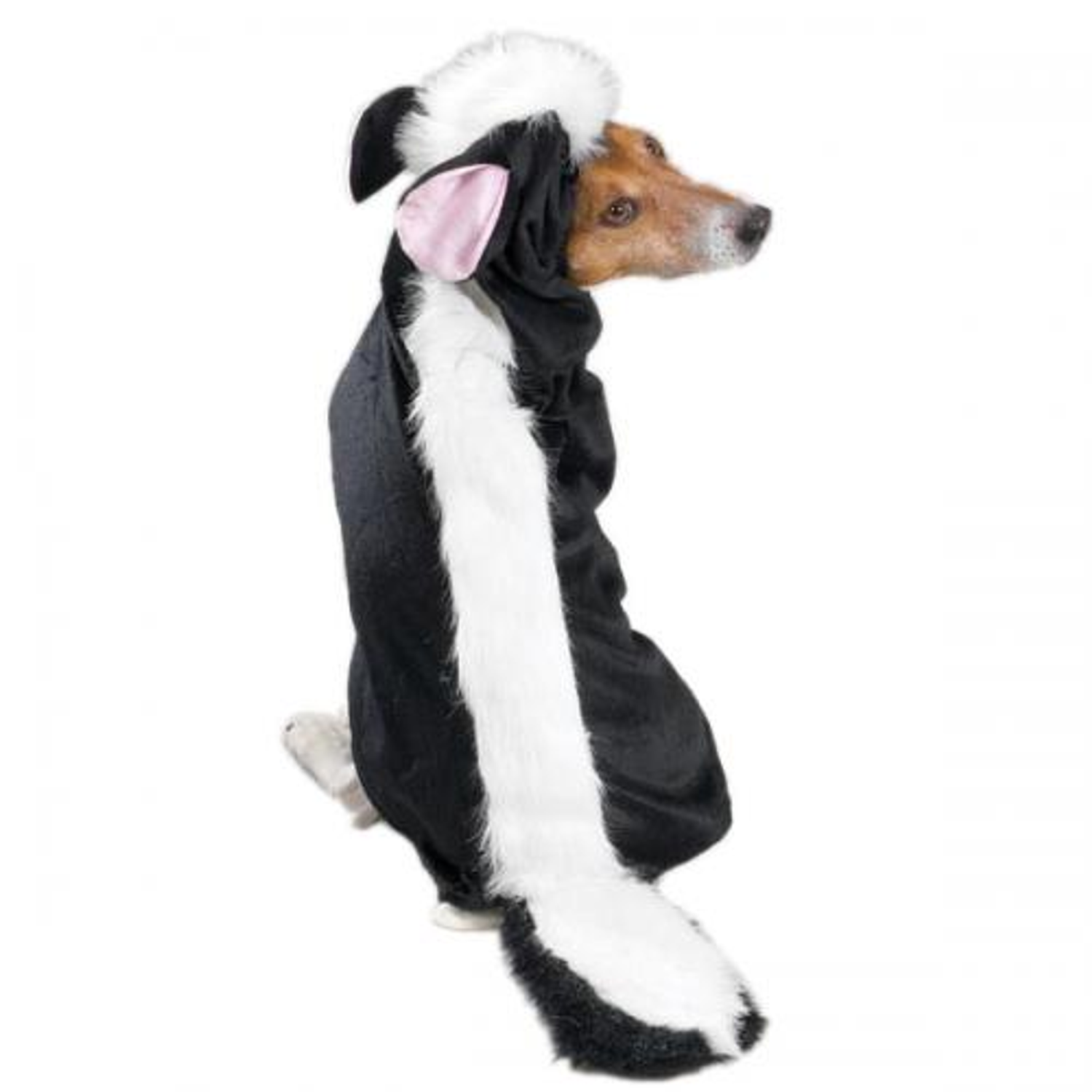 Pet Edge Casual Canine Lil' Stinker Costume Dog Clothes