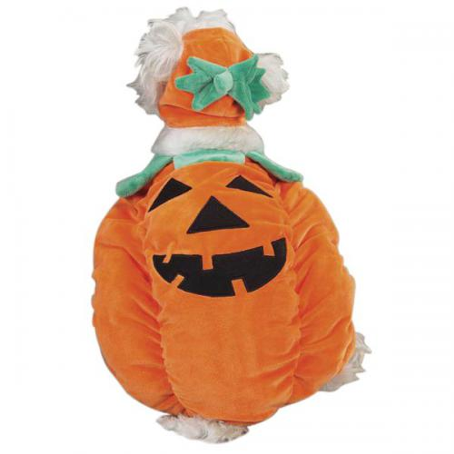 Pet Edge Zack & Zoey Pumpkin Pooch Costume Dog Clothes