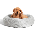 Pet Palette
