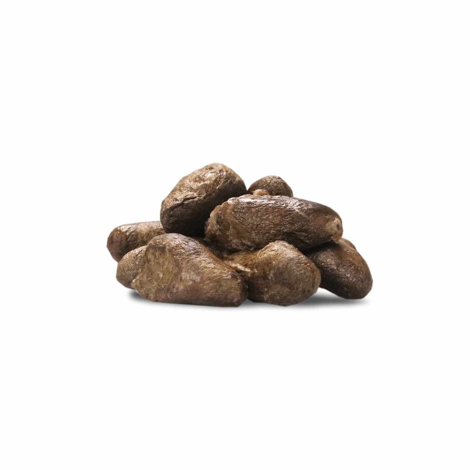 Pet Palette