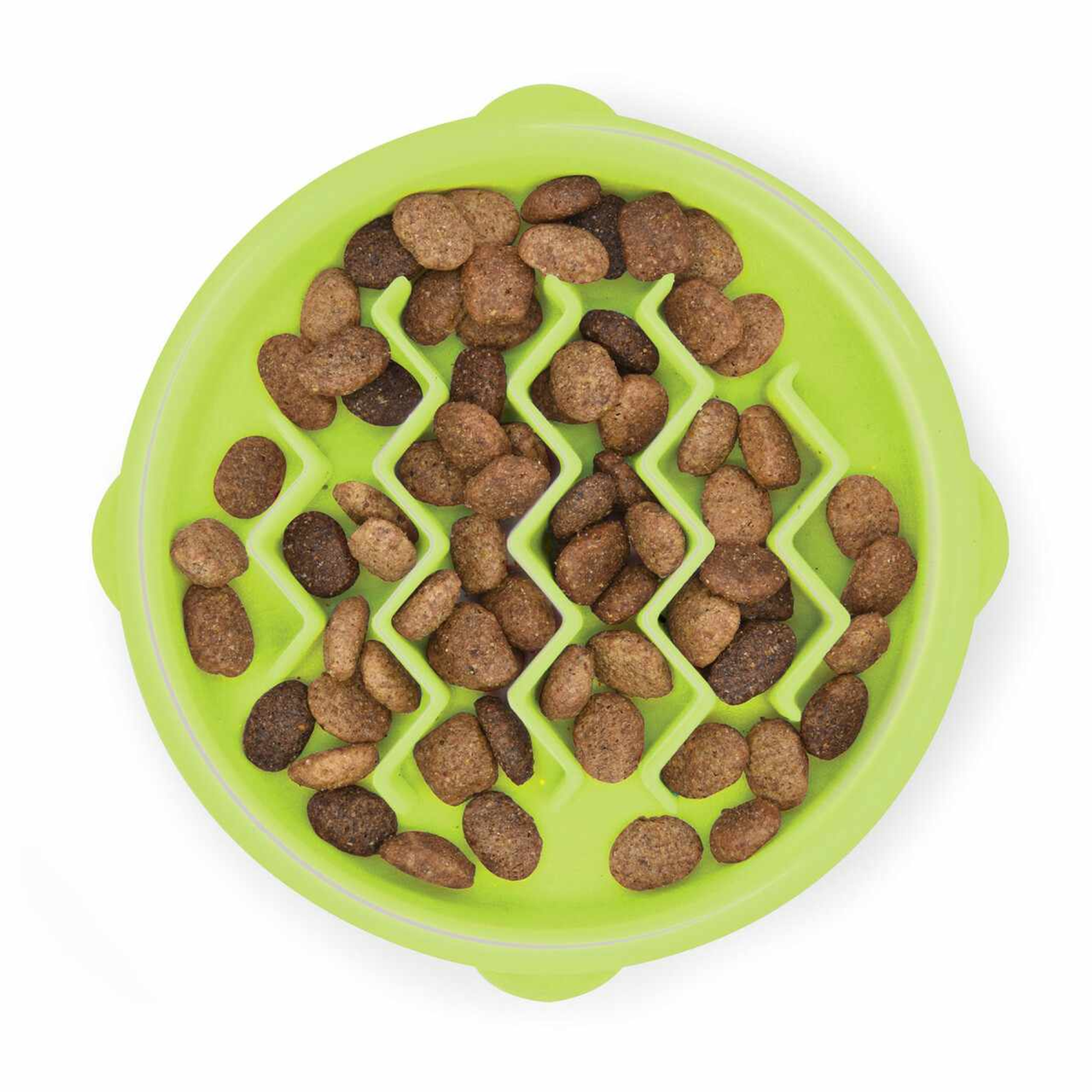Pet Palette