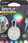 Pet Palette