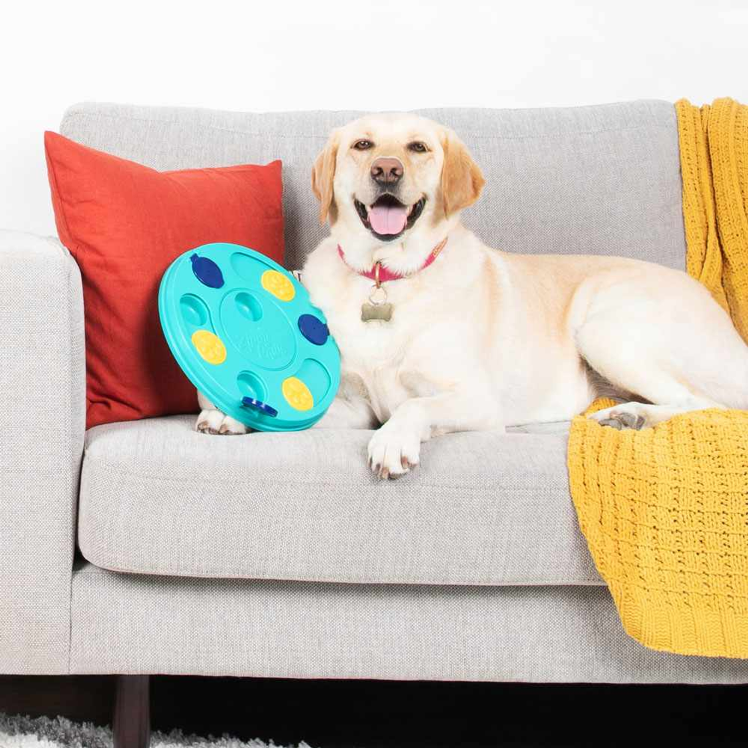 Pet Palette