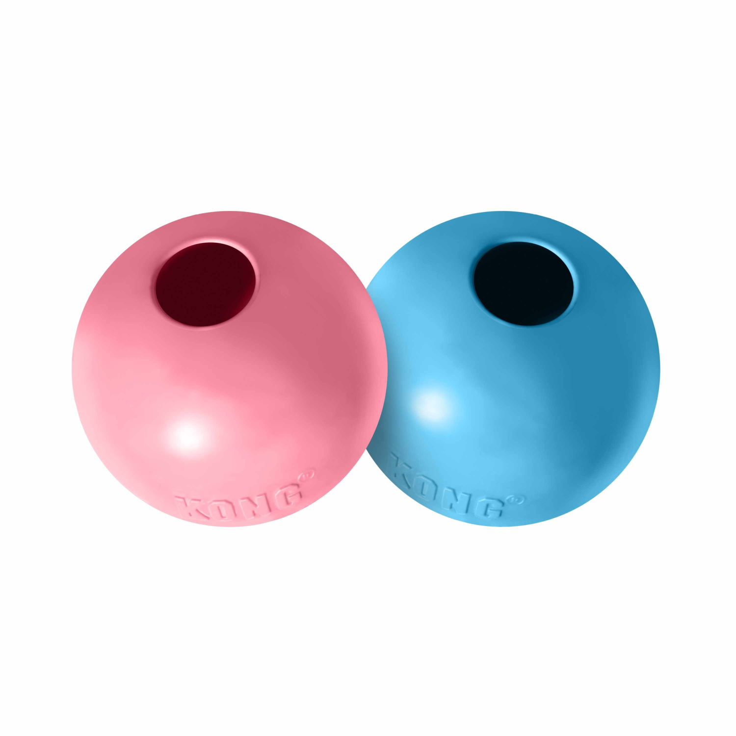 Pet Palette